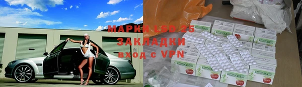 ПСИЛОЦИБИНОВЫЕ ГРИБЫ Аркадак