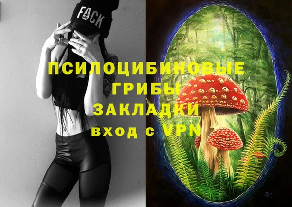 ПСИЛОЦИБИНОВЫЕ ГРИБЫ Аркадак