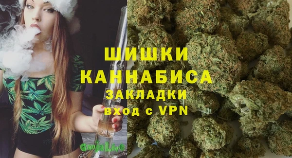 ПСИЛОЦИБИНОВЫЕ ГРИБЫ Аркадак