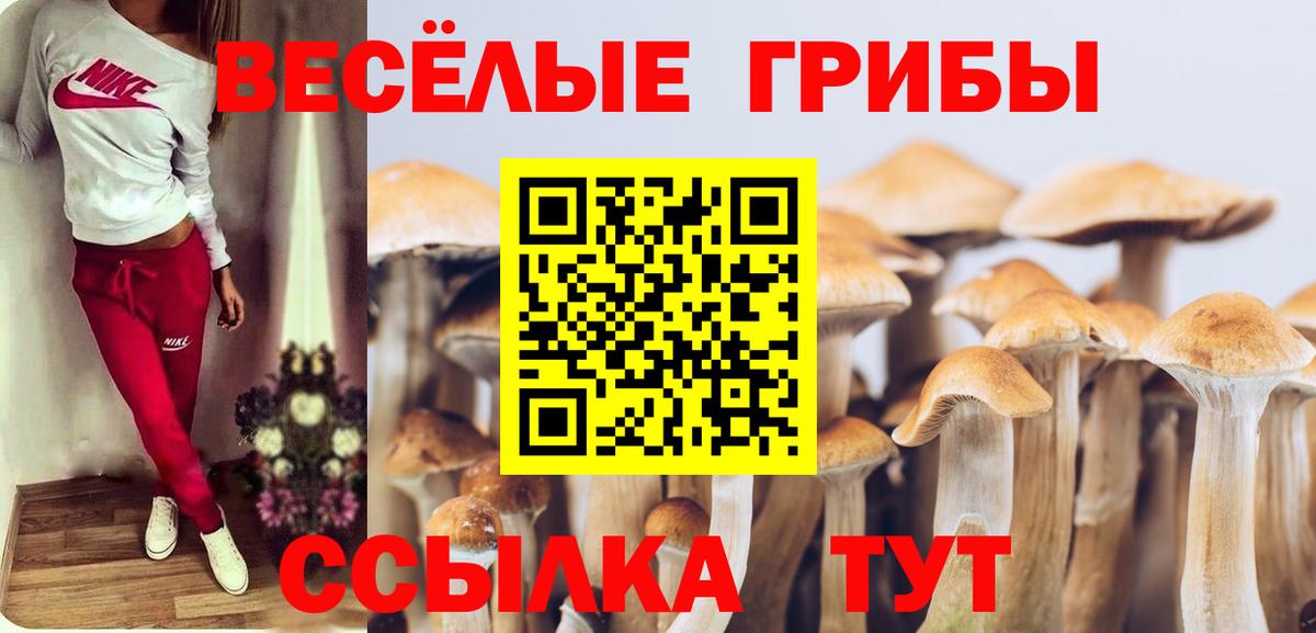 Псилоцибиновые грибы мухоморы  Псилоцибиновые грибы MAGIC MUSHROOMS  Вход с VPN  Саянск 